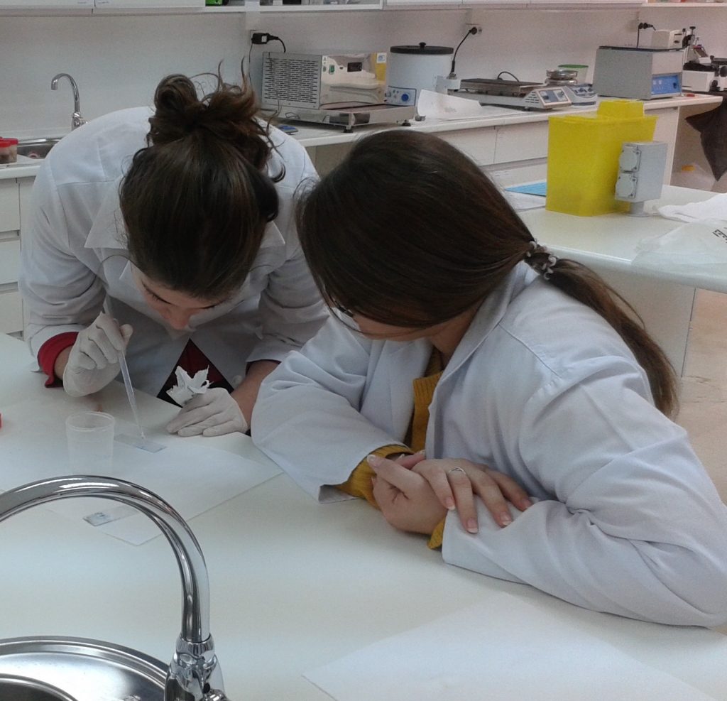 alumnos  Higiene Bucodental CESUR Murcia las bacterias del yogur. Tiñiendo bacterias